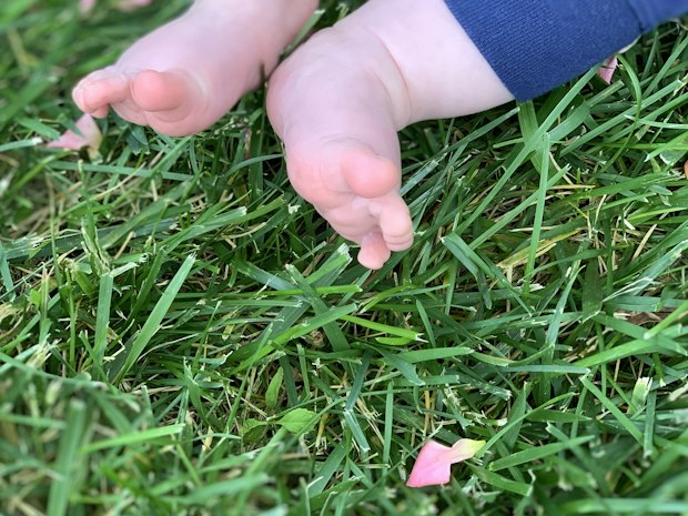Nackte Kinderfüße stehen im Gras zwischen Blütenblättern