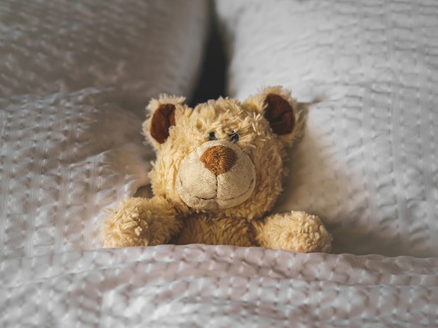Ein Kuscheltier liegt zugedeckt in einem Bett